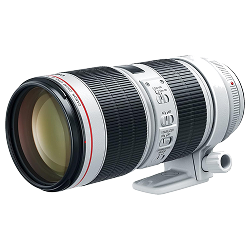 Canon EF 70-200mm f/2.8L IS USM (Version III)