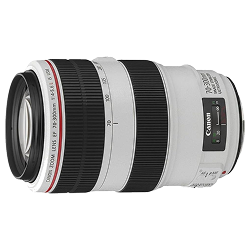 Canon EF 70-300mm f/4-5.6 L IS USM