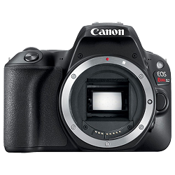 Canon Rebel SL2 / EOS 200D