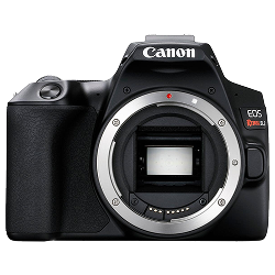 Canon Rebel SL3 / EOS 250D (DSLR)