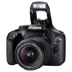 Canon Rebel T100 / EOS 4000D
