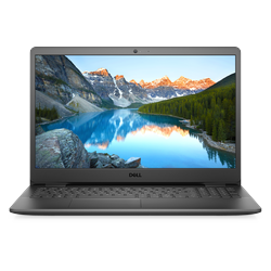 Dell Inspiron 3502