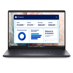 Dell Pro 13 Premium PA13250