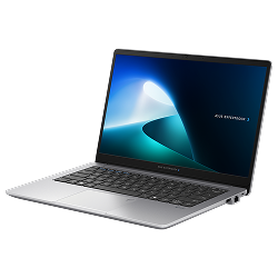 Asus ExpertBook P1