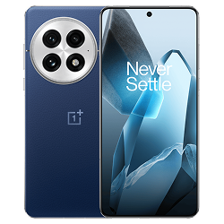 OnePlus 13
