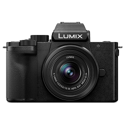Panasonic Lumix DC-G100 (Mirrorless)