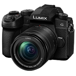 Panasonic Lumix DC-G95 (Mirrorless)