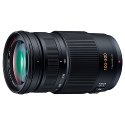 Panasonic Lumix G 100-300mm f/4-5.6 (H-FS100300)