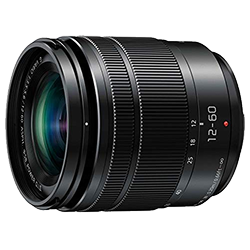 Panasonic Lumix VARIO G 12-60mm f/3.5-5.6 OIS