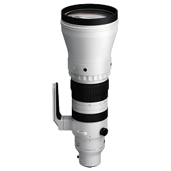 Sigma 300-600mm f/4 DG OS (Sports)