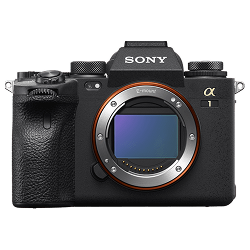 Sony Alpha A1 (Mirrorless)