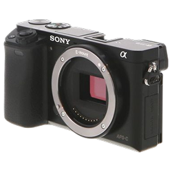 Sony Alpha A6000 (Mirrorless)