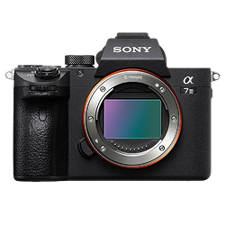 Sony Alpha A7 Mark III (Mirrorless)