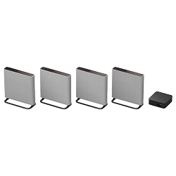 Sony Bravia Theatre Quad