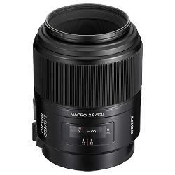 Sony Sal 100mm f/2.8 Macro